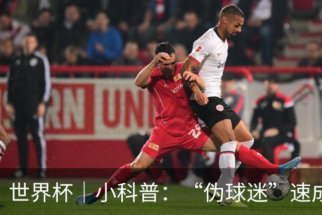 世界杯｜小科普：“伪球迷”速成手册